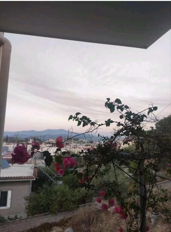 Όμορφο Και Ευρύχωρο Διαμέρισμα Με Θέα! Apartamento Náuplia Exterior foto